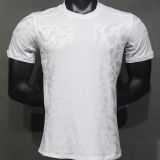 2024/25 PSG White Player Version Soccer Jersey （No Logo）  光板