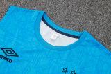 2024/25 Grêmio Blue Vest Training Jersey(A Set)