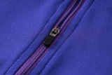 2024/25 Germany Purple Kids Sweater Tracksuit