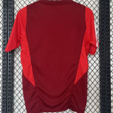 2024/25 Internacional Red Training Jersey  枣红色