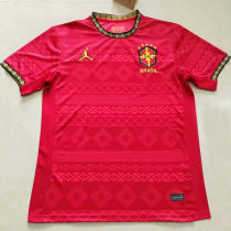 Copy 2025/26 Brazil Special Edition Fans Soccer Jersey
