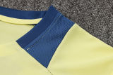 2025 AA Yellow Vest Training Jersey(A Set)