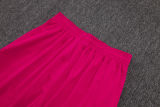 2025/26 Flamengo Rose Red Training Jersey(A Set)