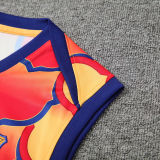 2024/25 BA Orange Vest Training Jersey(A Set)