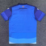 2025/26 Armenia Third Fans Soccer Jersey
