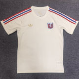 2025/26 Lyon 75Th Anniversary Fans Soccer Jersey 彩色三边