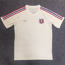 2025/26 Lyon 75Th Anniversary Fans Soccer Jersey 彩色三边
