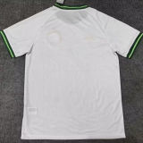 2026/27 Celtic Commemorative Edition Fans Soccer Jersey
