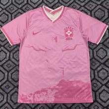 2025/26 Brazil Special Edition Fans Soccer Jersey