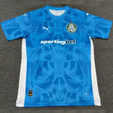 2025/26 Palmeiras Blue GK Soccer Jersey