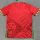 2025/26 Cameroon Away Red Fans Soccer Jersey