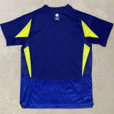 2024/25  Al Nassr Away Fans Soccer Jersey