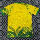 2026/27 Brazil Special Edition Fans Soccer Jersey