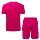 2025/26 Flamengo Rose Red Training Jersey(A Set)