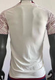 2022/23 Mexico  Away Player Version Soccer Jersey