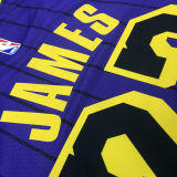 2018 LA Lakers JAMES # 23 Purple Stripe Limited Edition NBA Jerseys Hot Pressed
