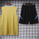 2024/25 Argentina Khaki Vest Training Jersey(A Set)