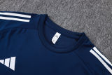 2025/26 Al Nassr Baby Blue Training Jersey(A Set)
