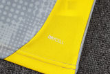 2026 BVB Grey Yellow Training Jersey(A Set)