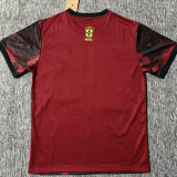 2025/26 Brazil Special Edition Fans Soccer Jersey