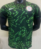2024/25 Nigeria Green Player Version Jersey