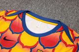 2024/25 BA Yellow  Training Tracksuit
