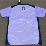 Copy 2025 Botafogo Training Jersey