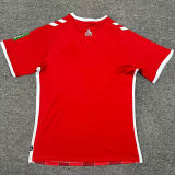 2024/25 1. FC Köln Away Red Fans Soccer Jersey 科隆