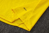 2025/26 BVB  Yellow Vest Training Jersey(A Set)