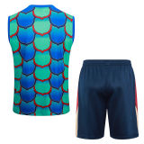 2024/25 BA Green Vest Training Jersey(A Set)