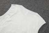 2025/26  PSG Light Gray Vest Training Jersey(A Set) 喷墨