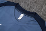 2025/26 PSG light Gray Vest Training Jersey(A Set)