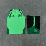 2026/27 Mexico Green Vest Training Jersey (A Set)