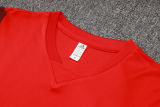 2024/25 Internacional Red Vest Training Jersey(A Set)