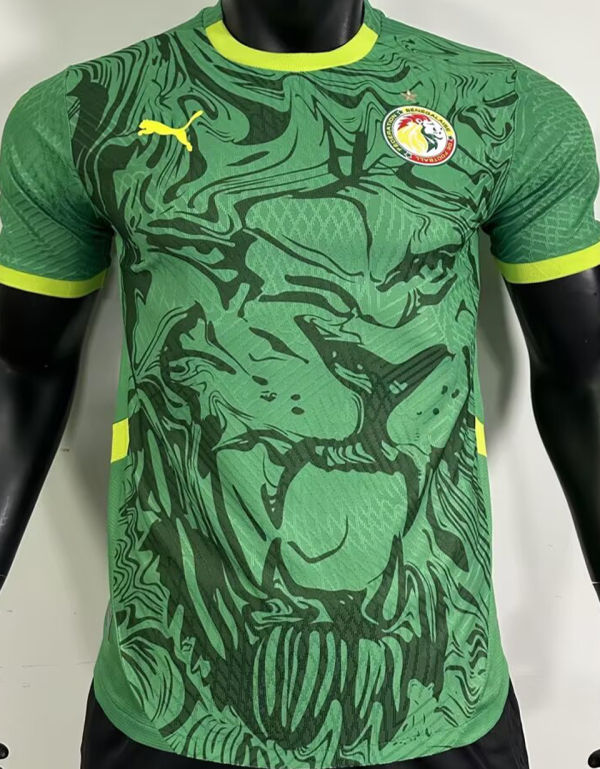 2025 Senegal Away Green Player Version Jersey