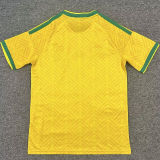 2026/27 South Africa Home Yellow Fans Soccer Jersey