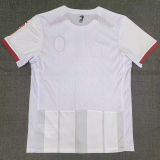 2024/25 Freiburg  Away Fans Soccer Jersey