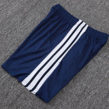 2026 AD Royal Blue Training Jersey (A Set)