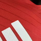 2024/25 Benfica Home Red Player  Version Soccer Jersey