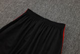 2025/26 Flamengo Vest Training Jersey(A Set)