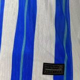 2024/25 Brighton Home Player Version Soccer Jersey