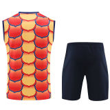 2024/25 BA Orange Vest Training Jersey(A Set)