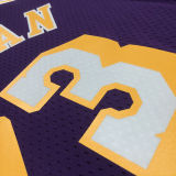 1998/99 Lakers RODMAN #73 Retro Purple NBA Jerseys热压
