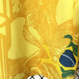 2024/25 Brazil Special Edition Yellow Fans Jersey