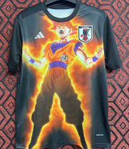 2024/25 Japan Special Edition Fans Jersey