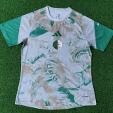 2026/27 Algeria Special Edition Player Version Soccer Jersey