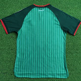 2026/27 Algeria Away Green Player Version Soccer Jersey （2 Stars 2星）