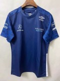 F1 Formula One Williams Blue Short Sleeve Racing Suit(威廉姆斯) 2021