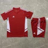 Adidas T  shirt  #721