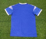 Japan Special Edition  Fans 1:1 Quality Soccer Jersey  23-24